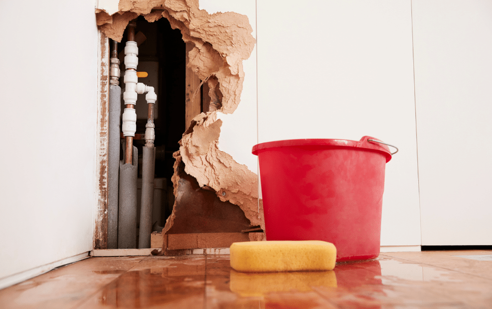 plumbing leaks